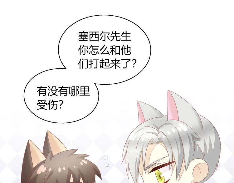 猫爪之下韩漫全集-第126话 猫舍C位（二）无删减无遮挡章节图片 