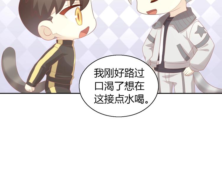 猫爪之下韩漫全集-第126话 猫舍C位（二）无删减无遮挡章节图片 