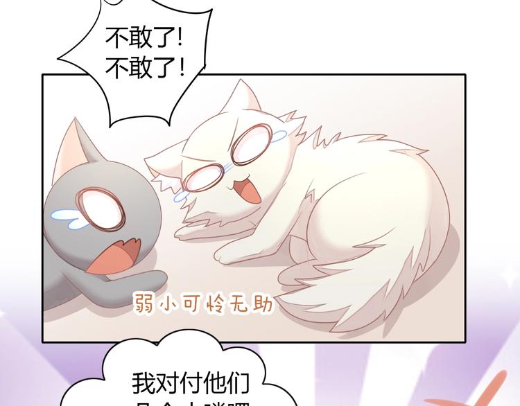 猫爪之下韩漫全集-第126话 猫舍C位（二）无删减无遮挡章节图片 