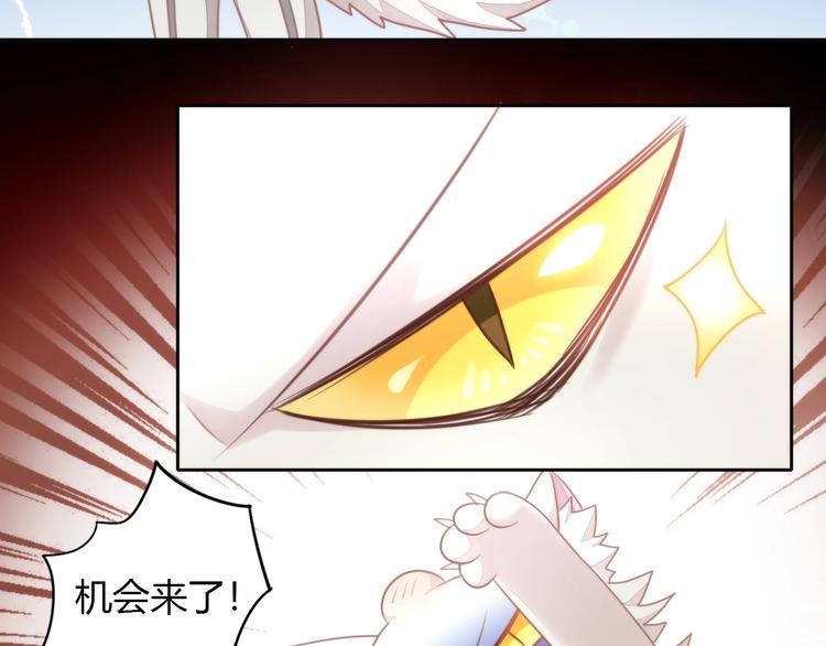 猫爪之下韩漫全集-第126话 猫舍C位（二）无删减无遮挡章节图片 