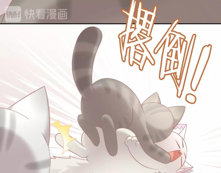 猫爪之下韩漫全集-第126话 猫舍C位（二）无删减无遮挡章节图片 