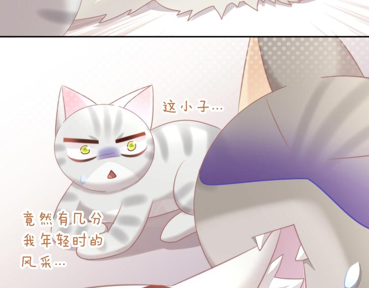 猫爪之下韩漫全集-第126话 猫舍C位（二）无删减无遮挡章节图片 