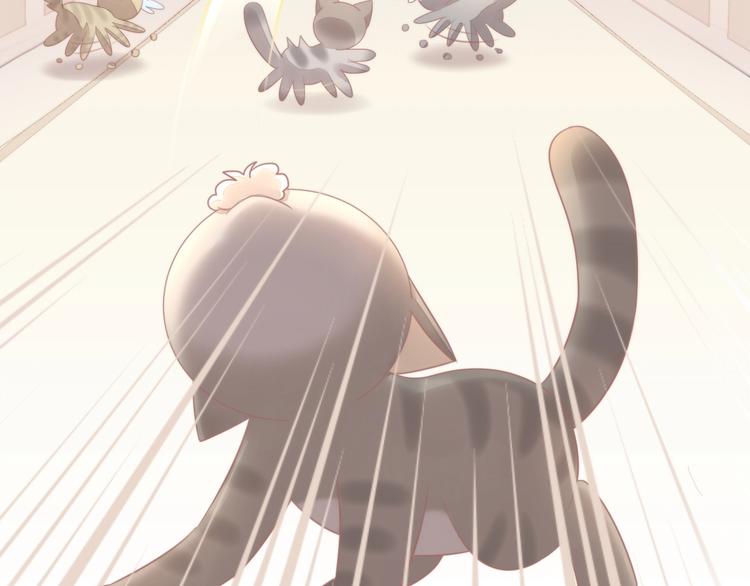 猫爪之下韩漫全集-第126话 猫舍C位（二）无删减无遮挡章节图片 