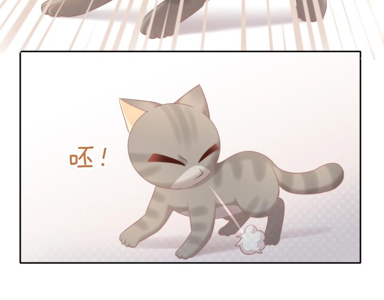 猫爪之下韩漫全集-第126话 猫舍C位（二）无删减无遮挡章节图片 