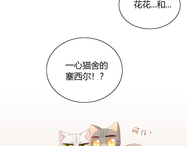 猫爪之下韩漫全集-第126话 猫舍C位（二）无删减无遮挡章节图片 