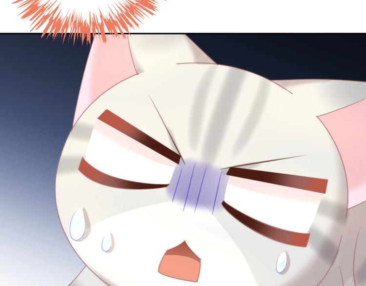 猫爪之下韩漫全集-第126话 猫舍C位（二）无删减无遮挡章节图片 