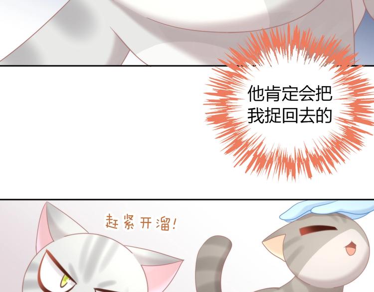 猫爪之下韩漫全集-第126话 猫舍C位（二）无删减无遮挡章节图片 