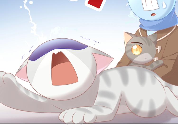 猫爪之下韩漫全集-第126话 猫舍C位（二）无删减无遮挡章节图片 