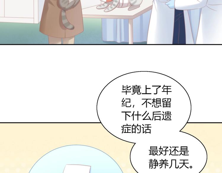 猫爪之下韩漫全集-第126话 猫舍C位（二）无删减无遮挡章节图片 