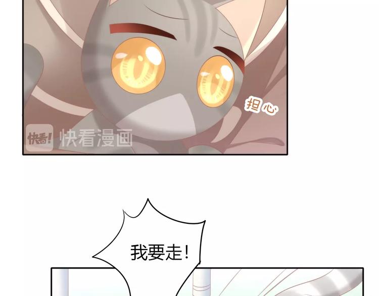 猫爪之下韩漫全集-第126话 猫舍C位（二）无删减无遮挡章节图片 