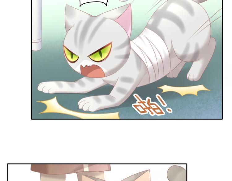 猫爪之下韩漫全集-第126话 猫舍C位（二）无删减无遮挡章节图片 