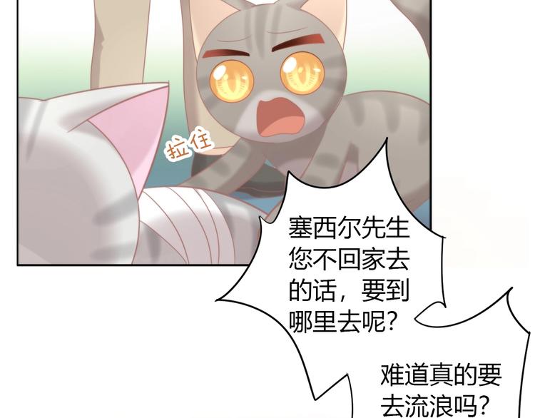 猫爪之下韩漫全集-第126话 猫舍C位（二）无删减无遮挡章节图片 
