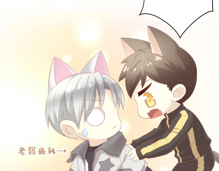 猫爪之下韩漫全集-第126话 猫舍C位（二）无删减无遮挡章节图片 