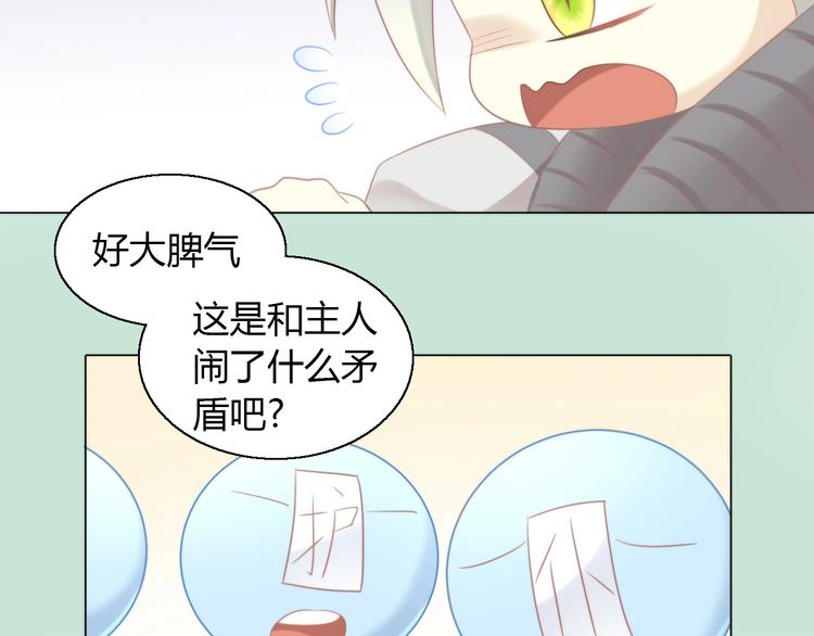 猫爪之下韩漫全集-第126话 猫舍C位（二）无删减无遮挡章节图片 