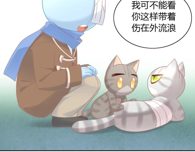 猫爪之下韩漫全集-第126话 猫舍C位（二）无删减无遮挡章节图片 