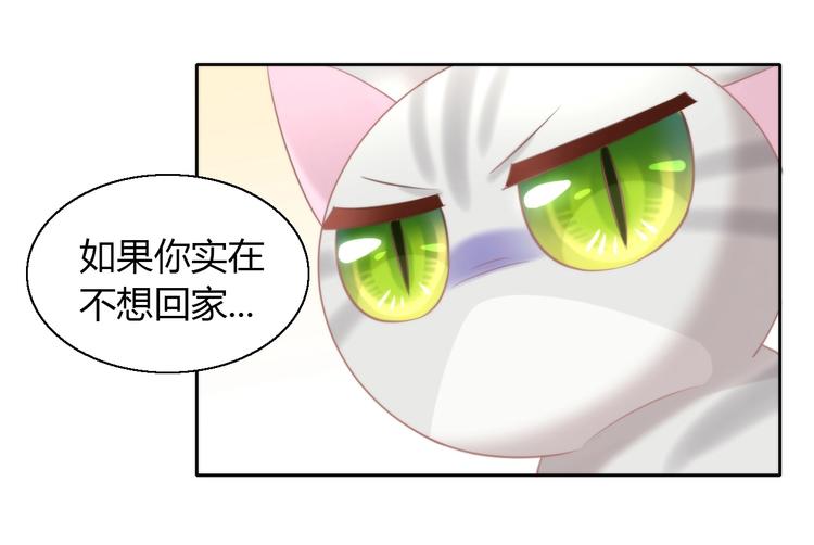 猫爪之下韩漫全集-第126话 猫舍C位（二）无删减无遮挡章节图片 