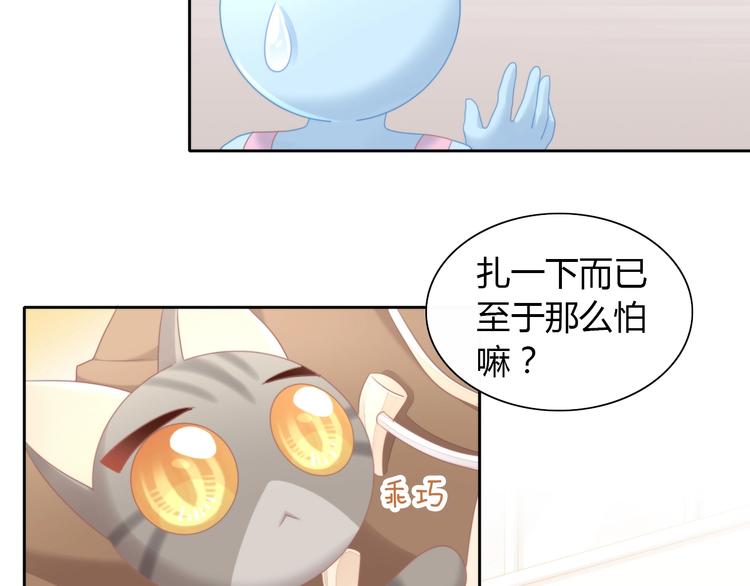 猫爪之下韩漫全集-第126话 猫舍C位（二）无删减无遮挡章节图片 