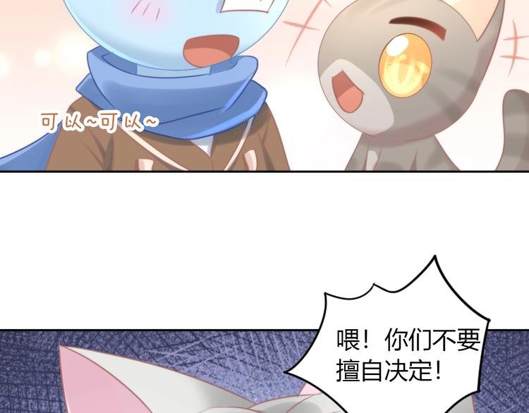 猫爪之下韩漫全集-第126话 猫舍C位（二）无删减无遮挡章节图片 