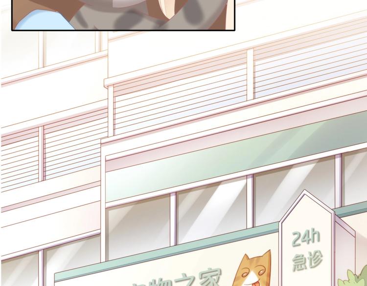 猫爪之下韩漫全集-第126话 猫舍C位（二）无删减无遮挡章节图片 