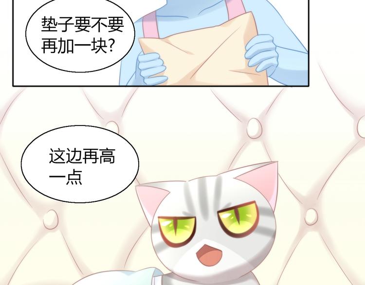 猫爪之下韩漫全集-第127话 猫舍C位（三）无删减无遮挡章节图片 