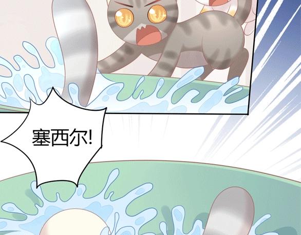 猫爪之下韩漫全集-第127话 猫舍C位（三）无删减无遮挡章节图片 
