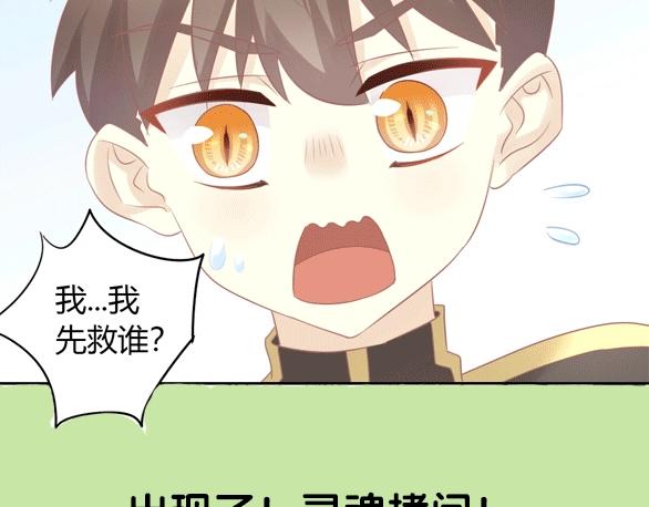 猫爪之下韩漫全集-第127话 猫舍C位（三）无删减无遮挡章节图片 