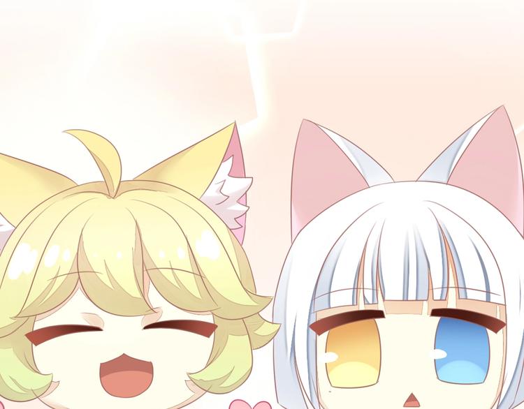 猫爪之下韩漫全集-第127话 猫舍C位（三）无删减无遮挡章节图片 