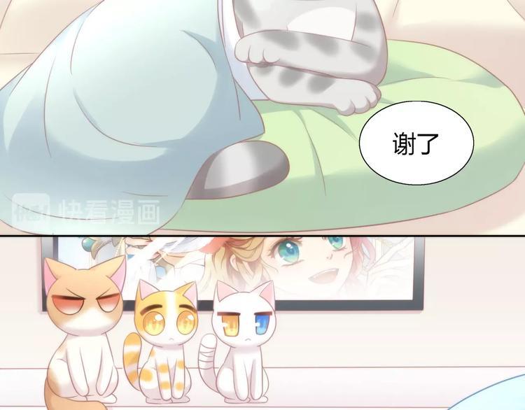 猫爪之下韩漫全集-第127话 猫舍C位（三）无删减无遮挡章节图片 