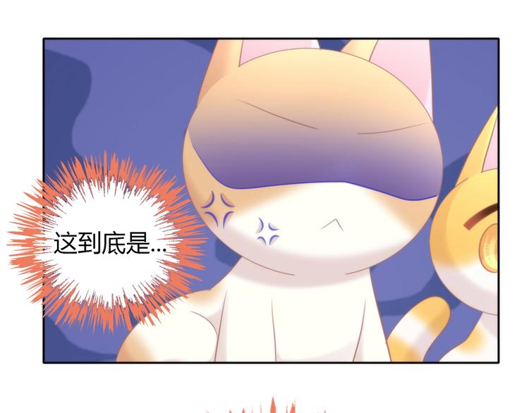 猫爪之下韩漫全集-第127话 猫舍C位（三）无删减无遮挡章节图片 