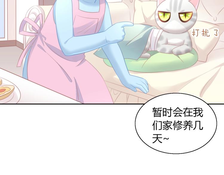 猫爪之下韩漫全集-第127话 猫舍C位（三）无删减无遮挡章节图片 