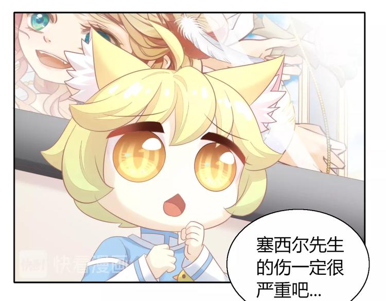 猫爪之下韩漫全集-第127话 猫舍C位（三）无删减无遮挡章节图片 