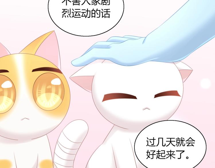 猫爪之下韩漫全集-第127话 猫舍C位（三）无删减无遮挡章节图片 