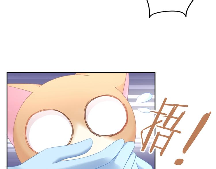 猫爪之下韩漫全集-第127话 猫舍C位（三）无删减无遮挡章节图片 