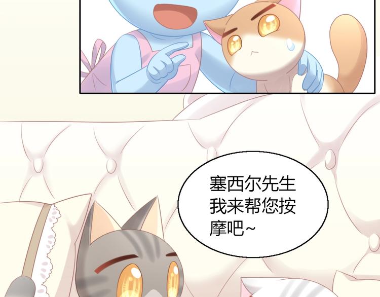 猫爪之下韩漫全集-第127话 猫舍C位（三）无删减无遮挡章节图片 
