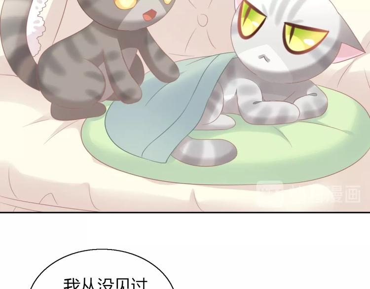 猫爪之下韩漫全集-第127话 猫舍C位（三）无删减无遮挡章节图片 
