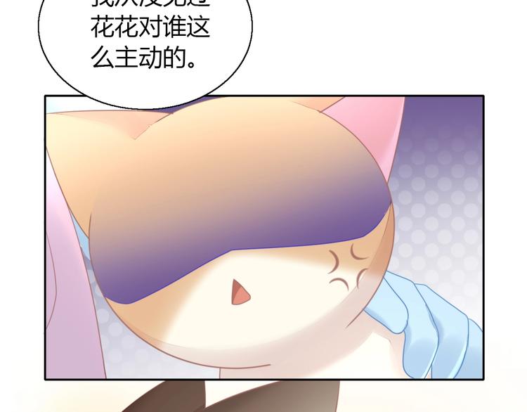 猫爪之下韩漫全集-第127话 猫舍C位（三）无删减无遮挡章节图片 