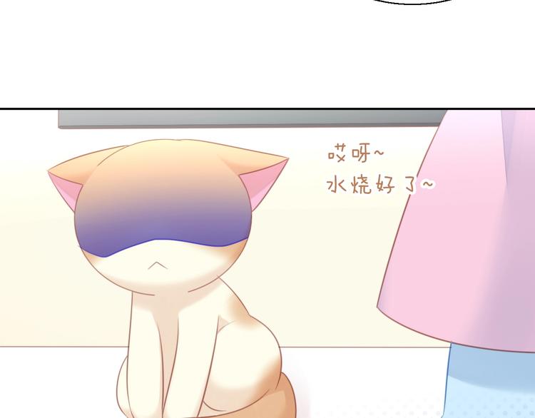 猫爪之下韩漫全集-第127话 猫舍C位（三）无删减无遮挡章节图片 