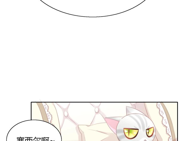 猫爪之下韩漫全集-第127话 猫舍C位（三）无删减无遮挡章节图片 