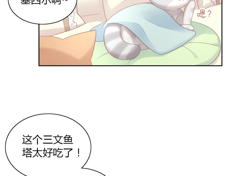 猫爪之下韩漫全集-第127话 猫舍C位（三）无删减无遮挡章节图片 