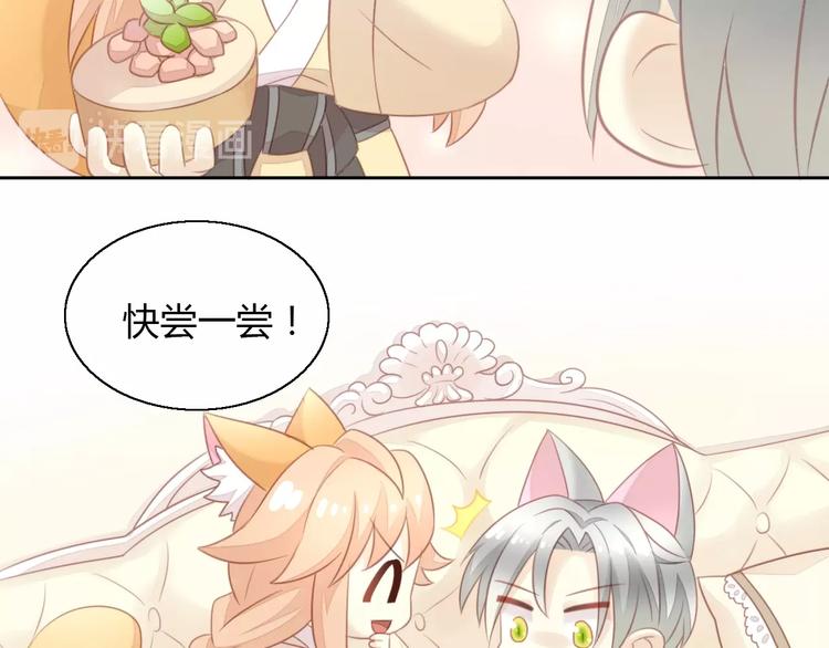 猫爪之下韩漫全集-第127话 猫舍C位（三）无删减无遮挡章节图片 