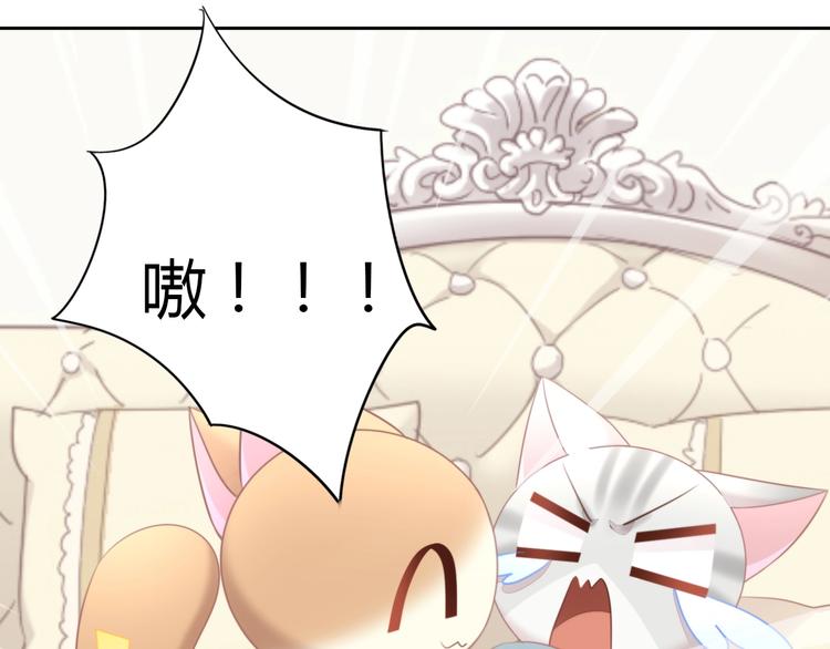 猫爪之下韩漫全集-第127话 猫舍C位（三）无删减无遮挡章节图片 