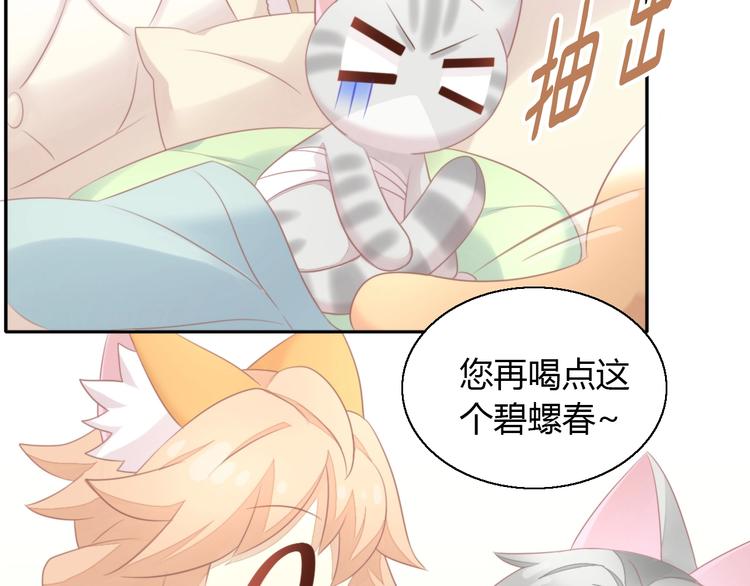猫爪之下韩漫全集-第127话 猫舍C位（三）无删减无遮挡章节图片 