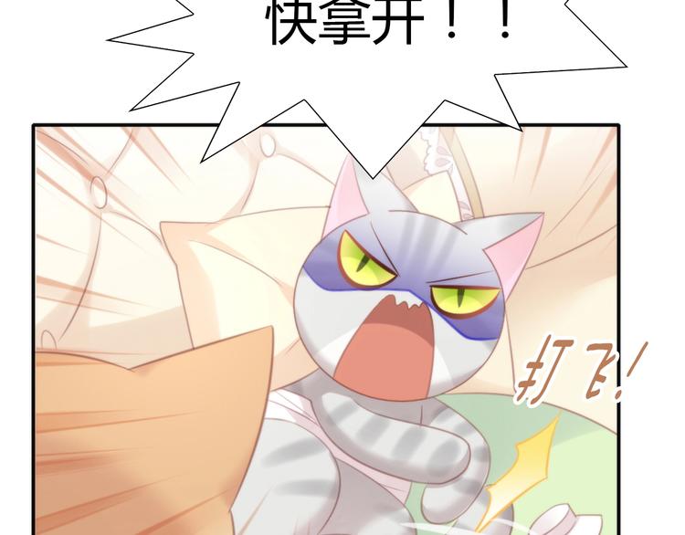猫爪之下韩漫全集-第127话 猫舍C位（三）无删减无遮挡章节图片 