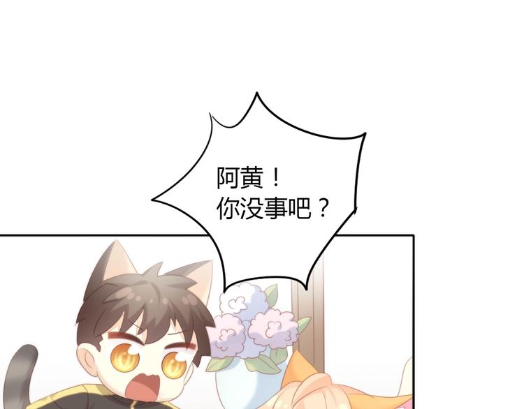 猫爪之下韩漫全集-第127话 猫舍C位（三）无删减无遮挡章节图片 