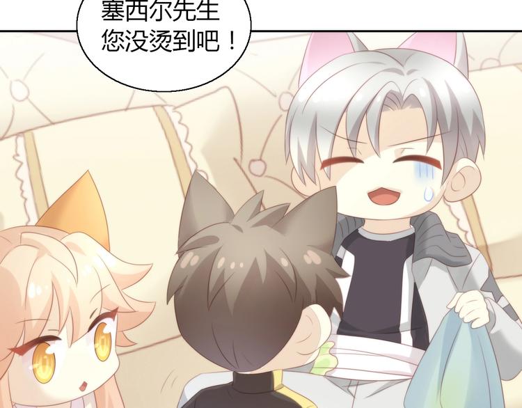 猫爪之下韩漫全集-第127话 猫舍C位（三）无删减无遮挡章节图片 