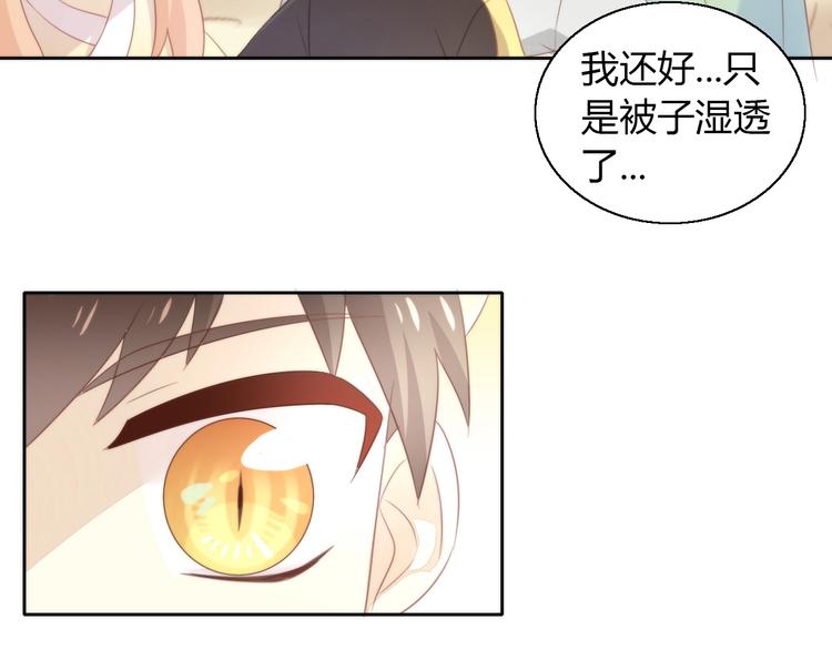 猫爪之下韩漫全集-第127话 猫舍C位（三）无删减无遮挡章节图片 