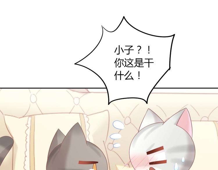 猫爪之下韩漫全集-第127话 猫舍C位（三）无删减无遮挡章节图片 