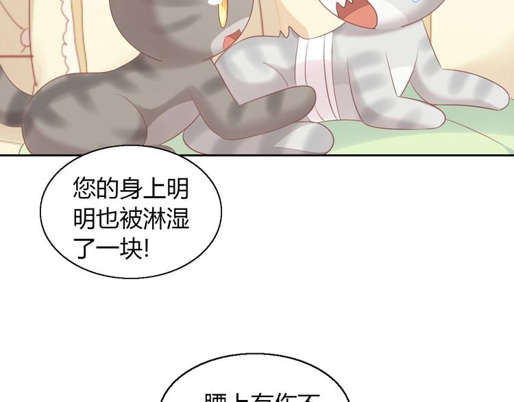 猫爪之下韩漫全集-第127话 猫舍C位（三）无删减无遮挡章节图片 