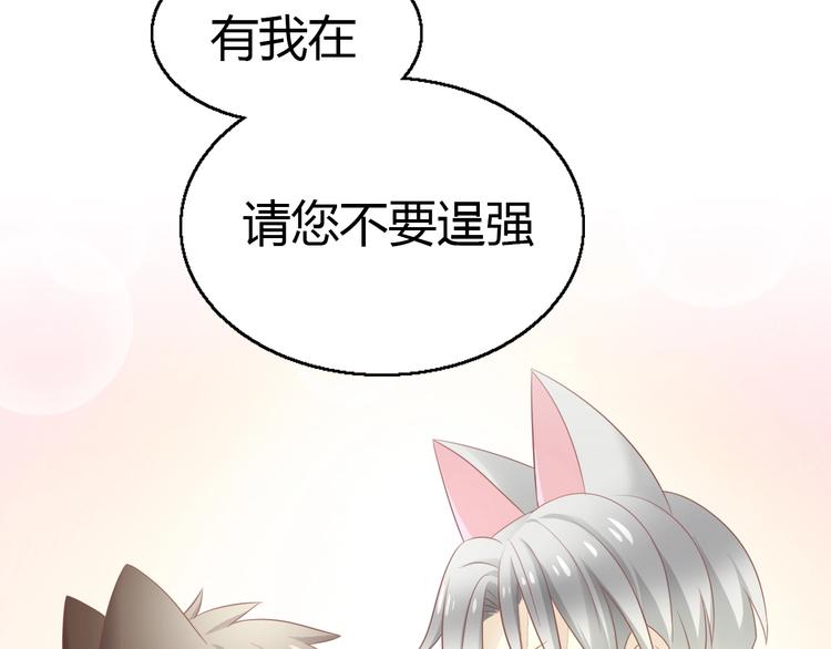 猫爪之下韩漫全集-第127话 猫舍C位（三）无删减无遮挡章节图片 