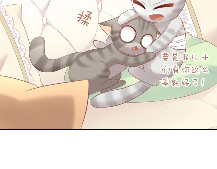 猫爪之下韩漫全集-第127话 猫舍C位（三）无删减无遮挡章节图片 